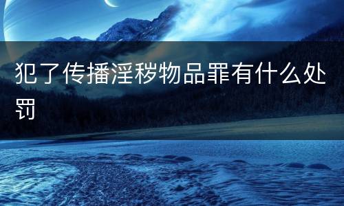 犯了传播淫秽物品罪有什么处罚