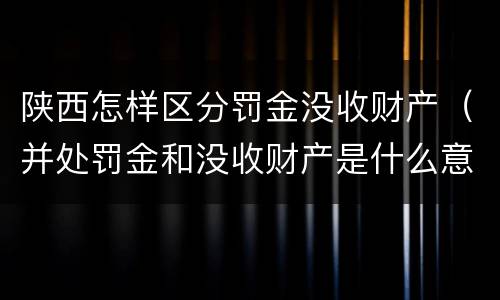 陕西怎样区分罚金没收财产（并处罚金和没收财产是什么意思）