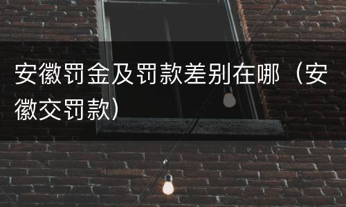 安徽罚金及罚款差别在哪（安徽交罚款）