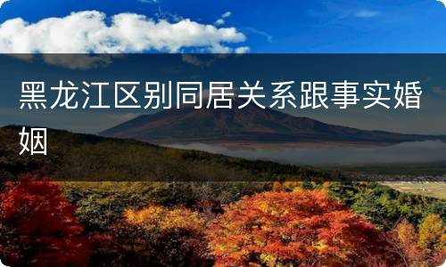 黑龙江区别同居关系跟事实婚姻