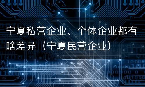 宁夏私营企业、个体企业都有啥差异（宁夏民营企业）