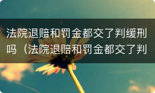 法院退赔和罚金都交了判缓刑吗（法院退赔和罚金都交了判缓刑吗会怎么样）