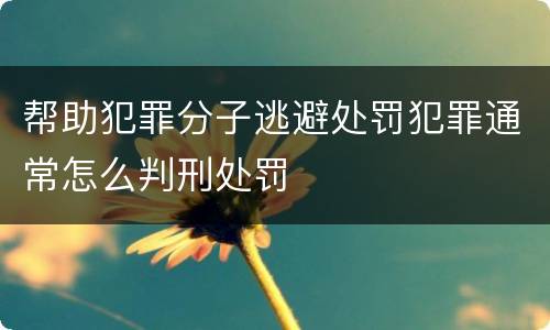 帮助犯罪分子逃避处罚犯罪通常怎么判刑处罚