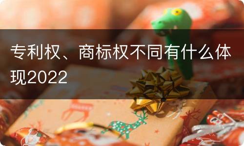 专利权、商标权不同有什么体现2022