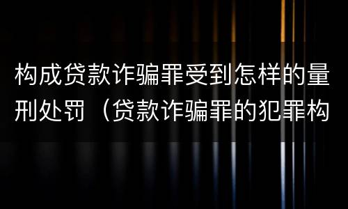 构成贷款诈骗罪受到怎样的量刑处罚（贷款诈骗罪的犯罪构成）