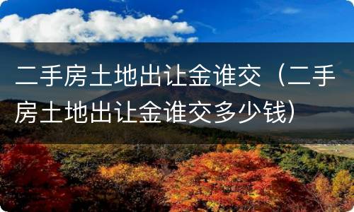 二手房土地出让金谁交（二手房土地出让金谁交多少钱）