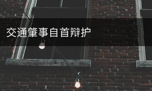 交通肇事自首辩护