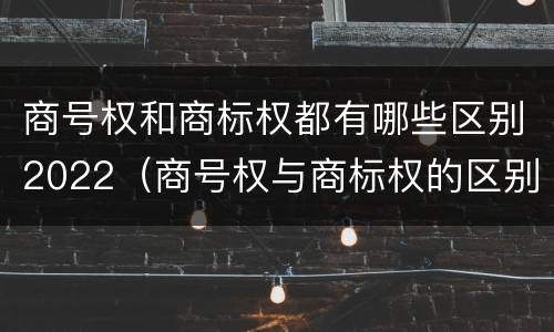 商号权和商标权都有哪些区别2022（商号权与商标权的区别）