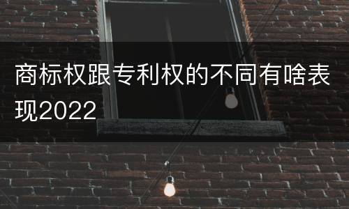 商标权跟专利权的不同有啥表现2022