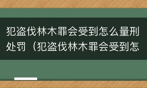 犯盗伐林木罪会受到怎么量刑处罚（犯盗伐林木罪会受到怎么量刑处罚呢）