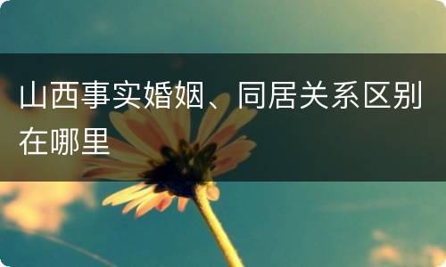 山西事实婚姻、同居关系区别在哪里