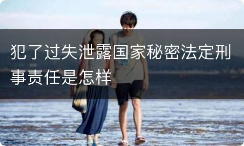 犯了过失泄露国家秘密法定刑事责任是怎样
