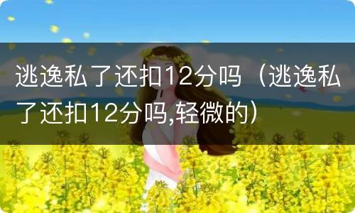 逃逸私了还扣12分吗（逃逸私了还扣12分吗,轻微的）