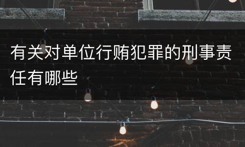 有关对单位行贿犯罪的刑事责任有哪些