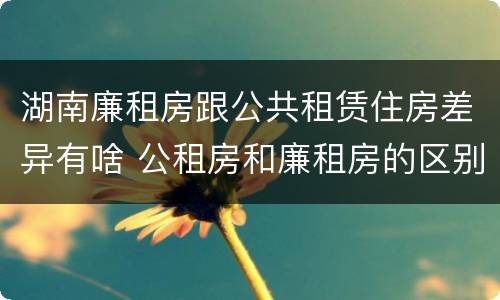 湖南廉租房跟公共租赁住房差异有啥 公租房和廉租房的区别是什么,能长期租住吗?