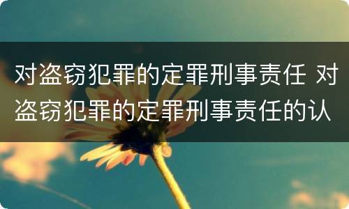 对盗窃犯罪的定罪刑事责任 对盗窃犯罪的定罪刑事责任的认定