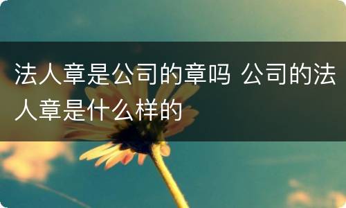 法人章是公司的章吗 公司的法人章是什么样的