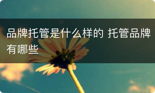 品牌托管是什么样的 托管品牌有哪些