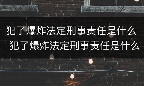 犯了爆炸法定刑事责任是什么 犯了爆炸法定刑事责任是什么