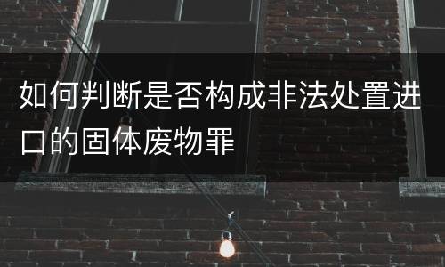如何判断是否构成非法处置进口的固体废物罪