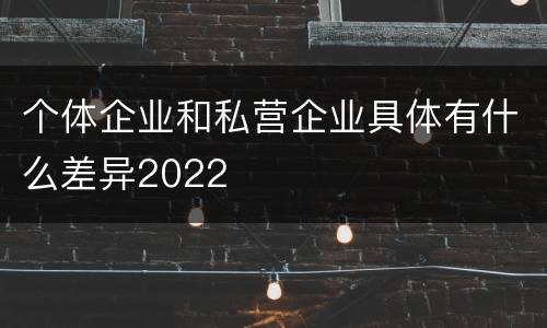 个体企业和私营企业具体有什么差异2022