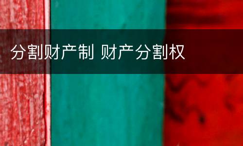 分割财产制 财产分割权