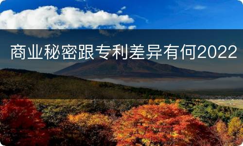 商业秘密跟专利差异有何2022