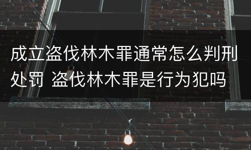 成立盗伐林木罪通常怎么判刑处罚 盗伐林木罪是行为犯吗