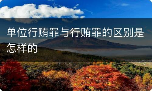 单位行贿罪与行贿罪的区别是怎样的