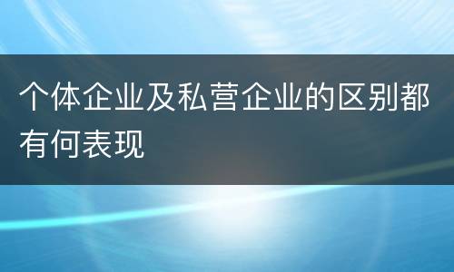 个体企业及私营企业的区别都有何表现