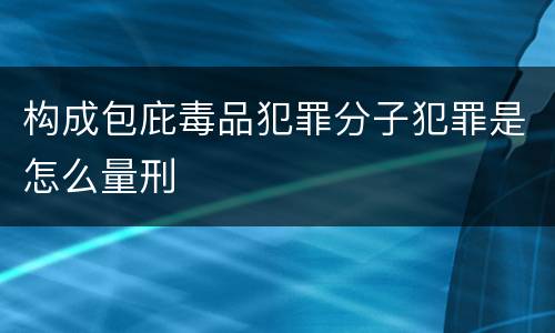 构成包庇毒品犯罪分子犯罪是怎么量刑