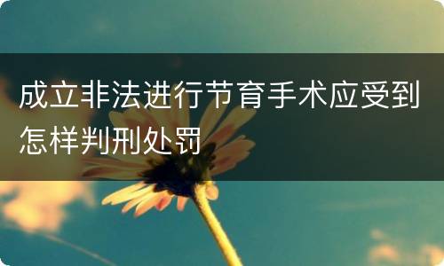 成立非法进行节育手术应受到怎样判刑处罚