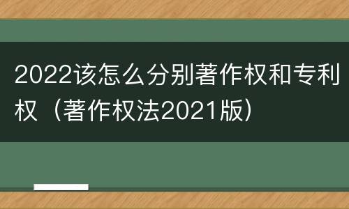 2022该怎么分别著作权和专利权（著作权法2021版）