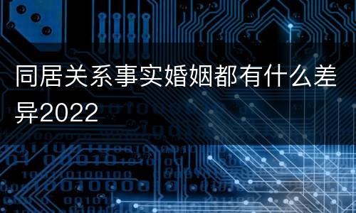 同居关系事实婚姻都有什么差异2022
