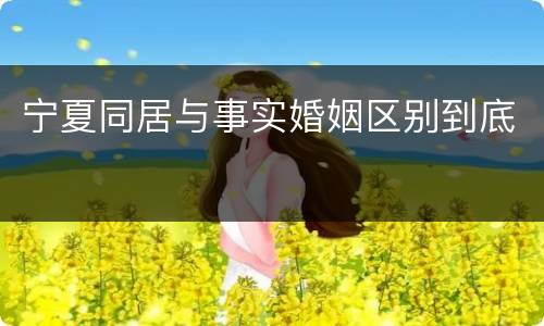 宁夏同居与事实婚姻区别到底