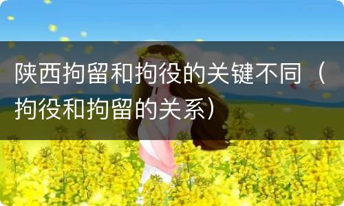 陕西拘留和拘役的关键不同（拘役和拘留的关系）