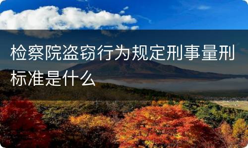 检察院盗窃行为规定刑事量刑标准是什么