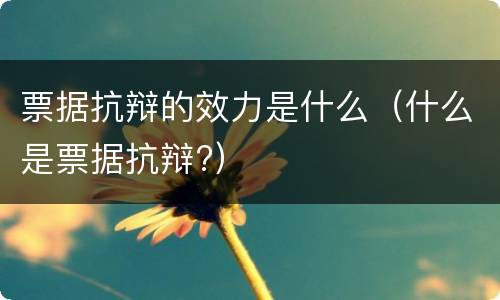 票据抗辩的效力是什么（什么是票据抗辩?）