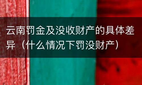 云南罚金及没收财产的具体差异（什么情况下罚没财产）