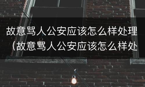 故意骂人公安应该怎么样处理（故意骂人公安应该怎么样处理呢）
