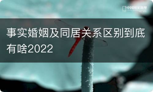 事实婚姻及同居关系区别到底有啥2022