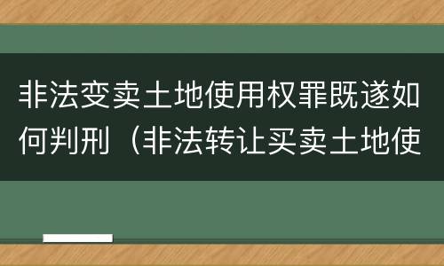非法变卖土地使用权罪既遂如何判刑（非法转让买卖土地使用权案例）