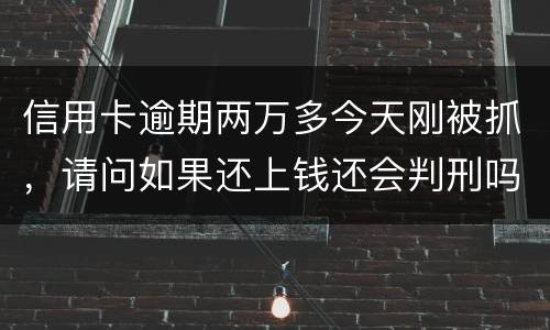 信用卡逾期两万多今天刚被抓，请问如果还上钱还会判刑吗