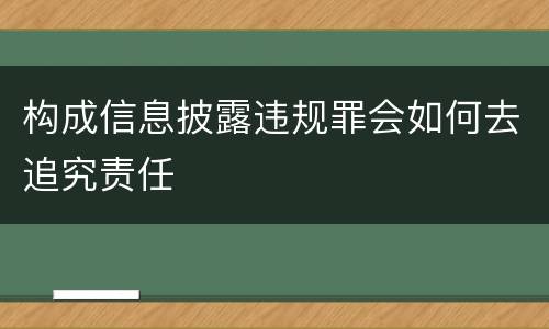 构成信息披露违规罪会如何去追究责任