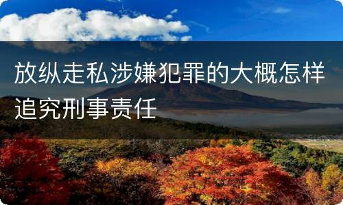 放纵走私涉嫌犯罪的大概怎样追究刑事责任