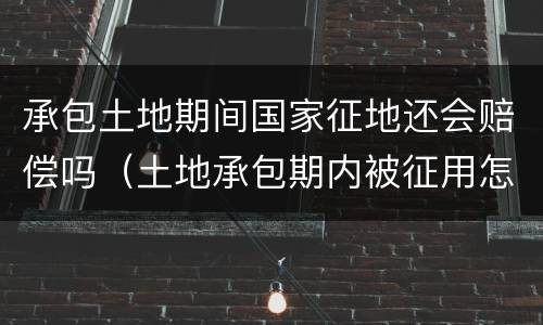 承包土地期间国家征地还会赔偿吗（土地承包期内被征用怎么赔偿）
