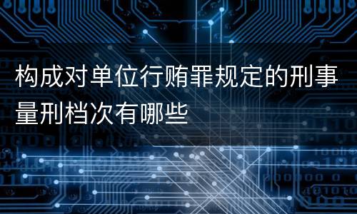 构成对单位行贿罪规定的刑事量刑档次有哪些