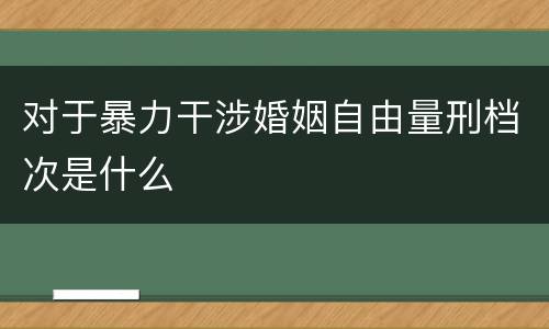 对于暴力干涉婚姻自由量刑档次是什么