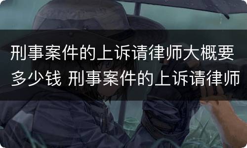 刑事案件的上诉请律师大概要多少钱 刑事案件的上诉请律师大概要多少钱呢