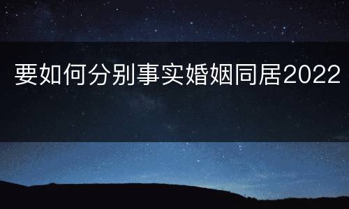 要如何分别事实婚姻同居2022